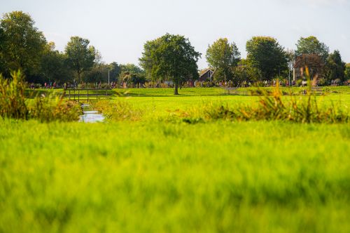 MARATONA DI AMSTERDAM | 42K,21K,8K 2022